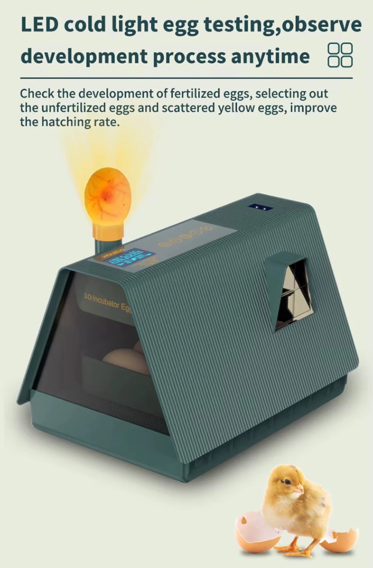 10 Egg Chicken Incubator