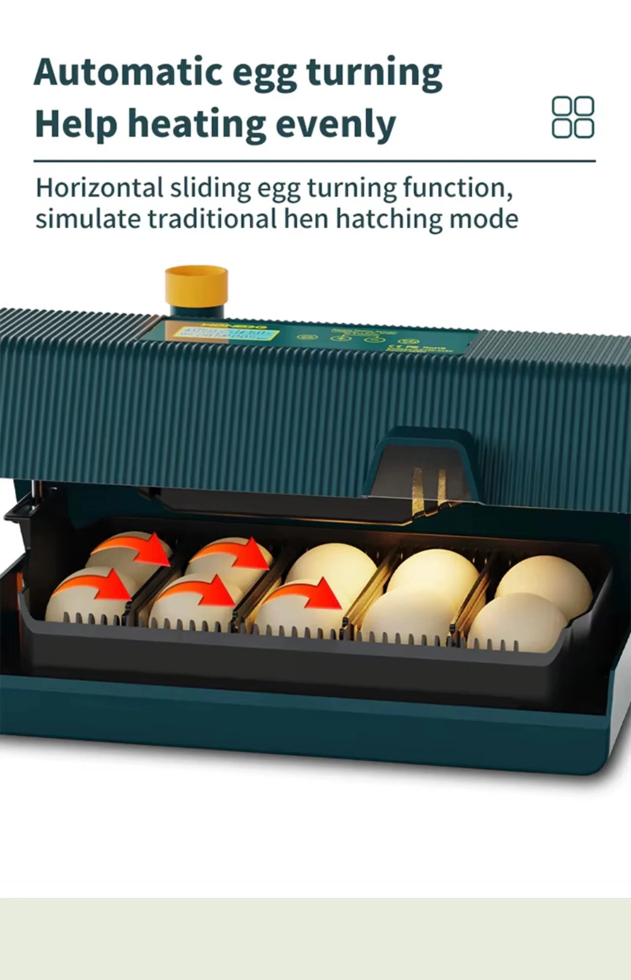 10 Egg Chicken Incubator