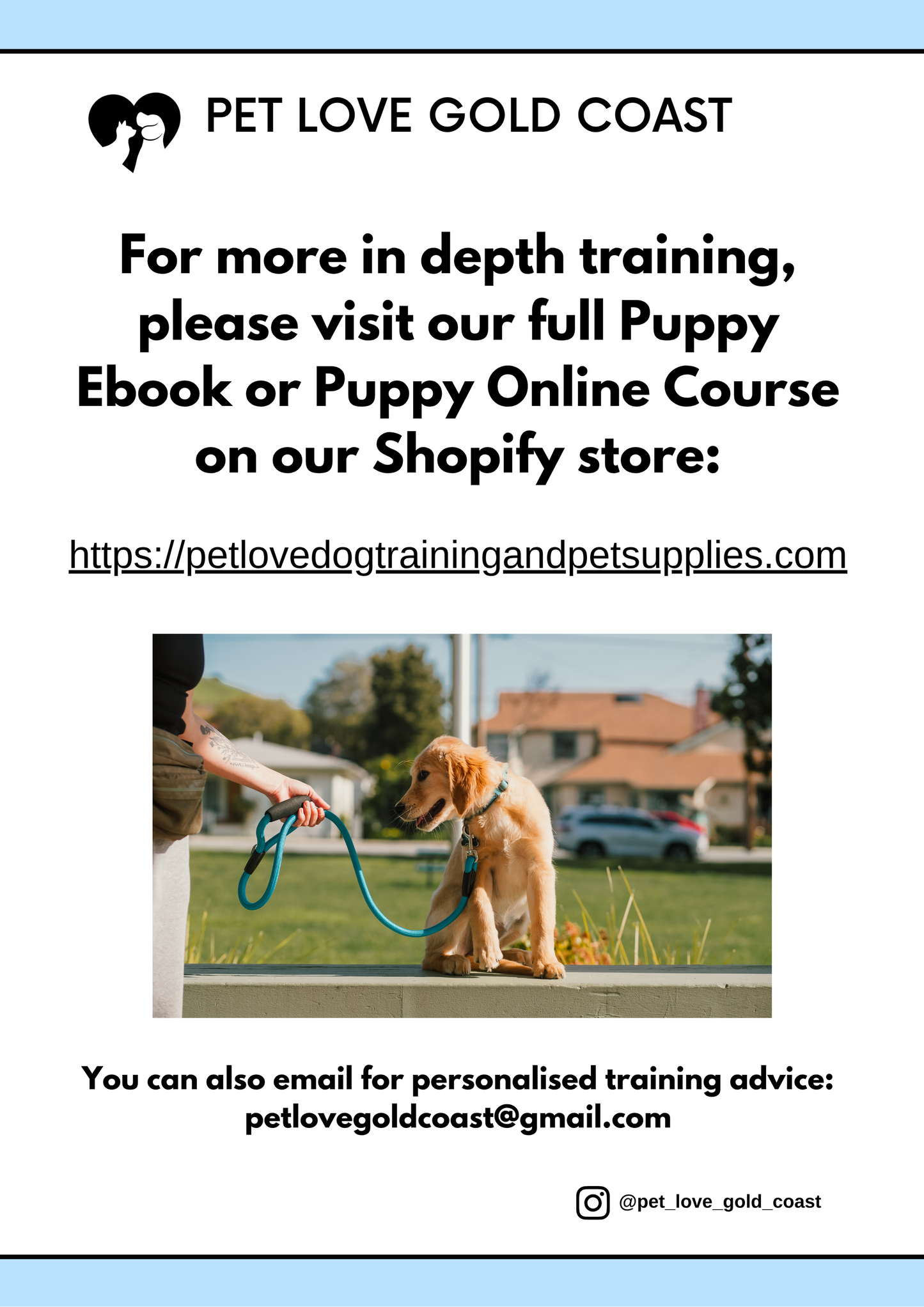 Puppy Training Guide
