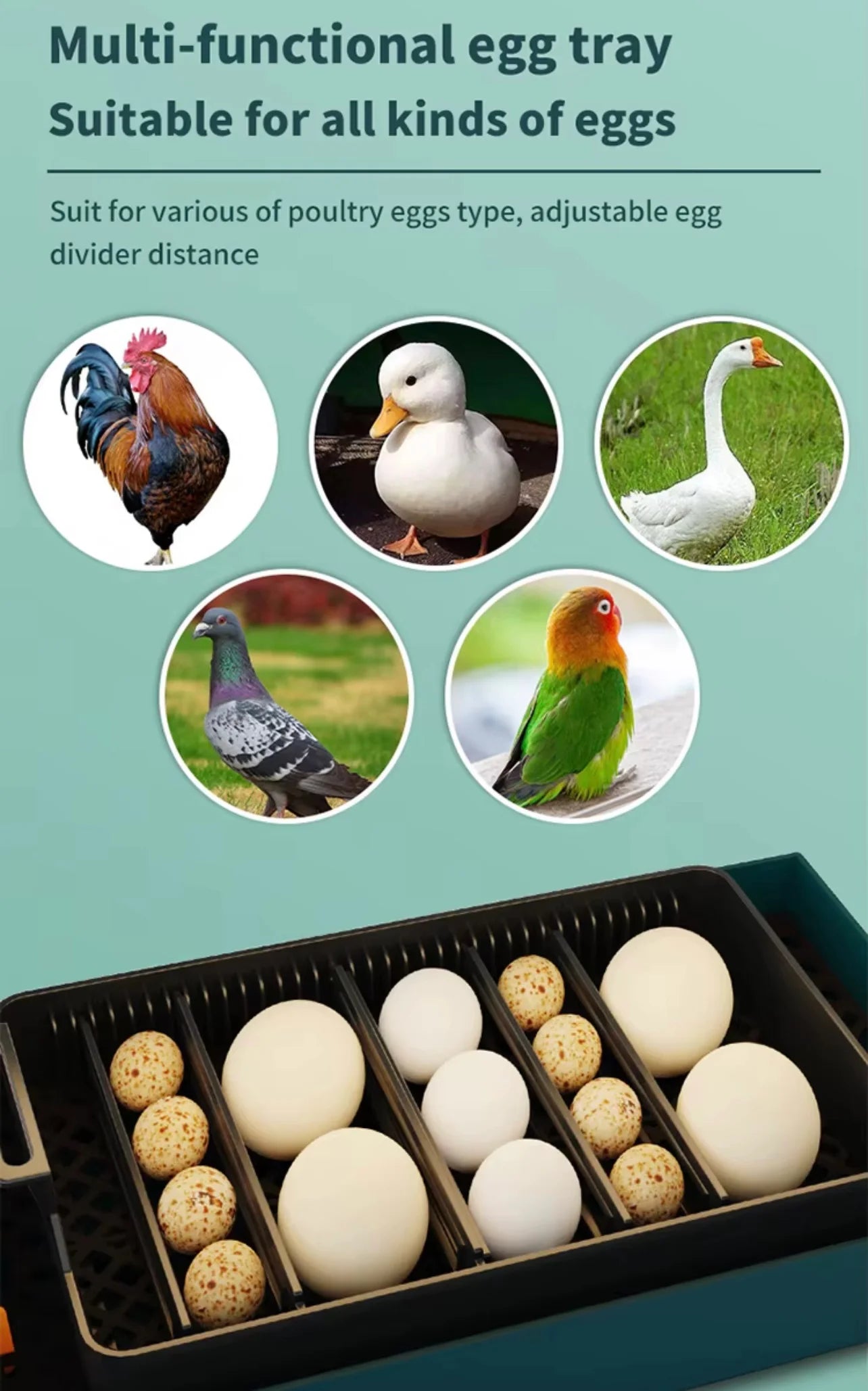 10 Egg Chicken Incubator