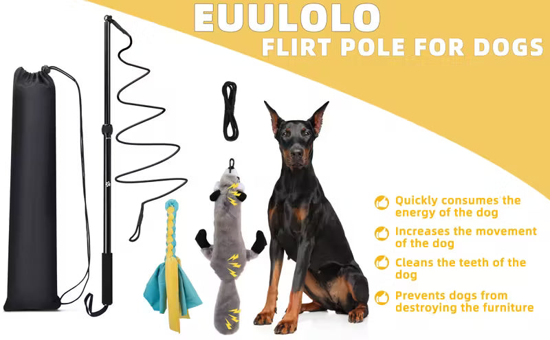 Flirt Pole for Herding