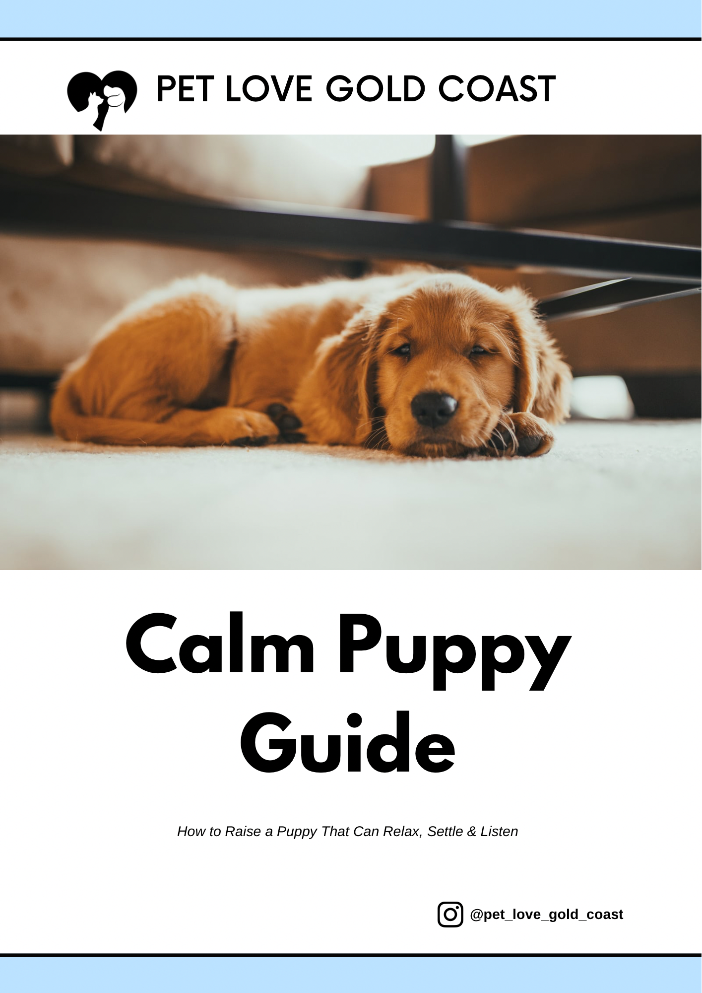 Calm Puppy Guide Ebook