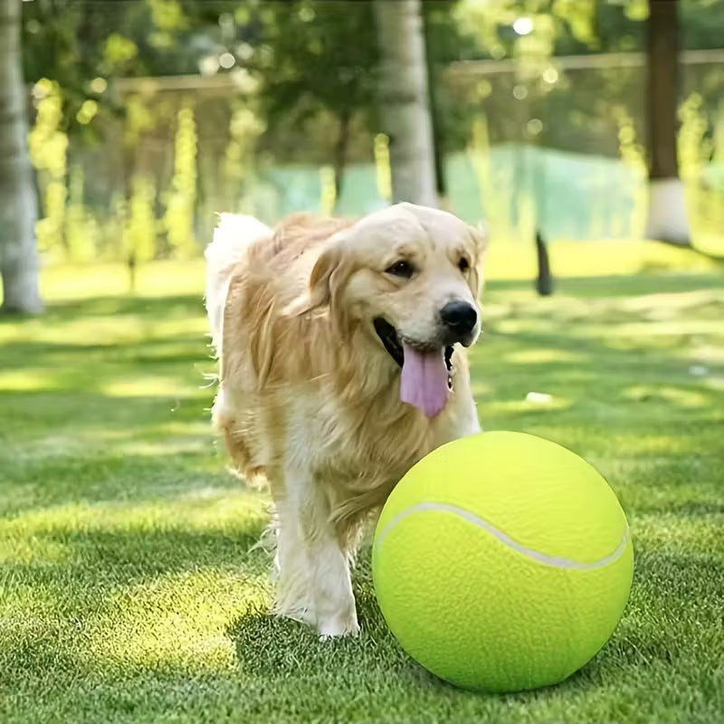 Extra Large Tennis Ball for Herding