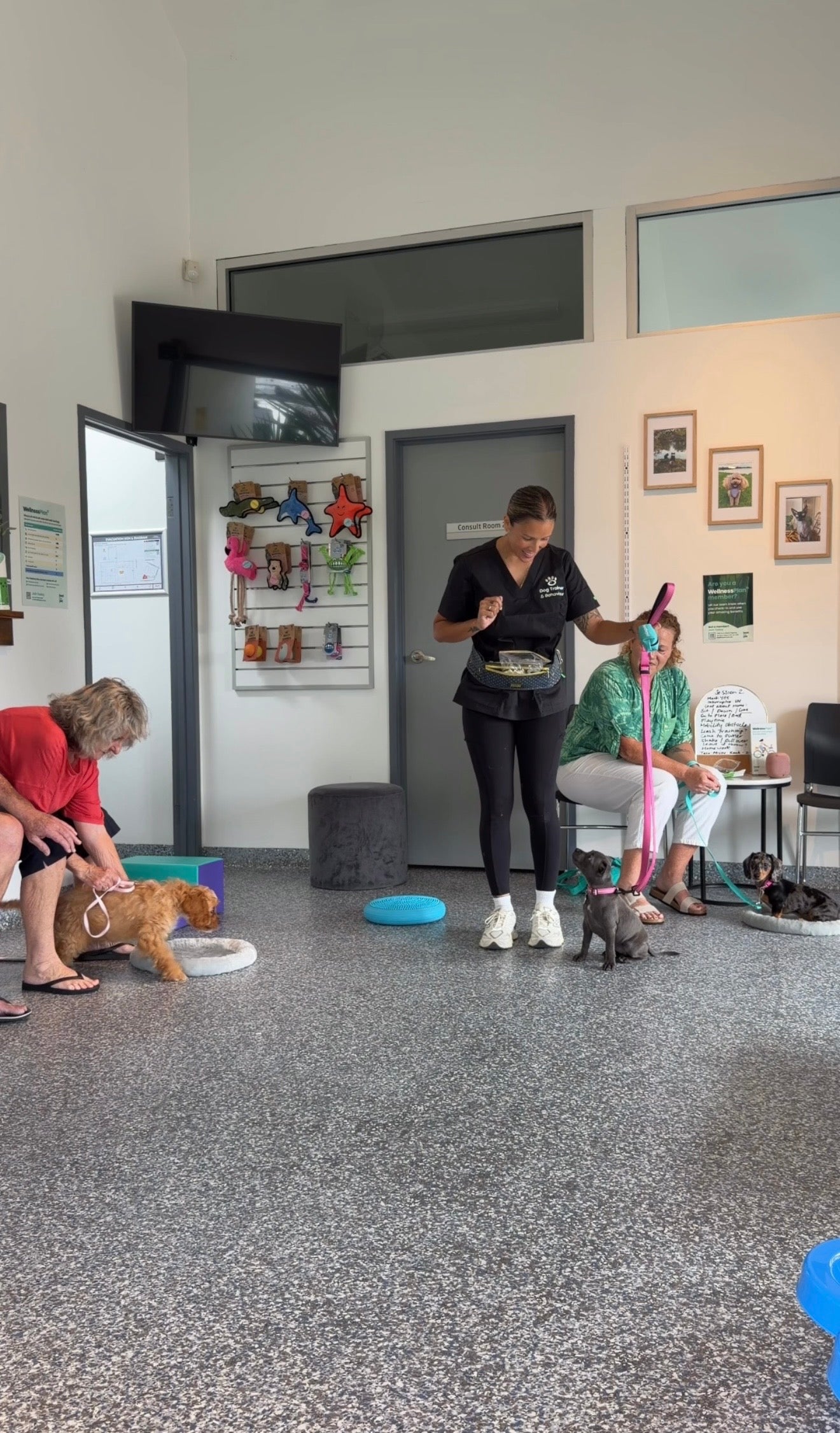 Raise The Perfect Puppy: Puppy School Online Course