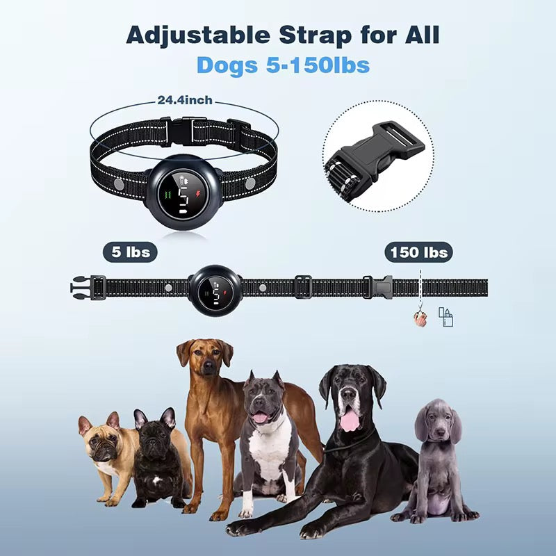 Training E-Collar for Dogs