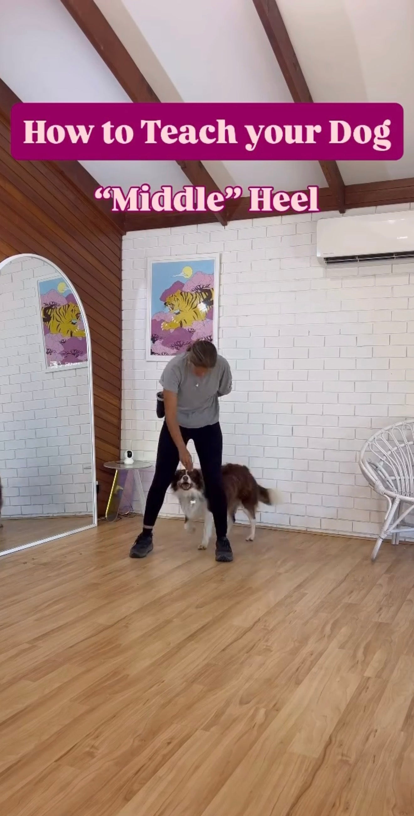 Puppy Program