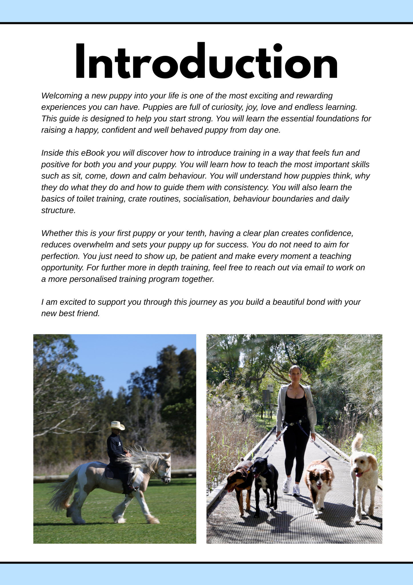 Puppy Training Guide