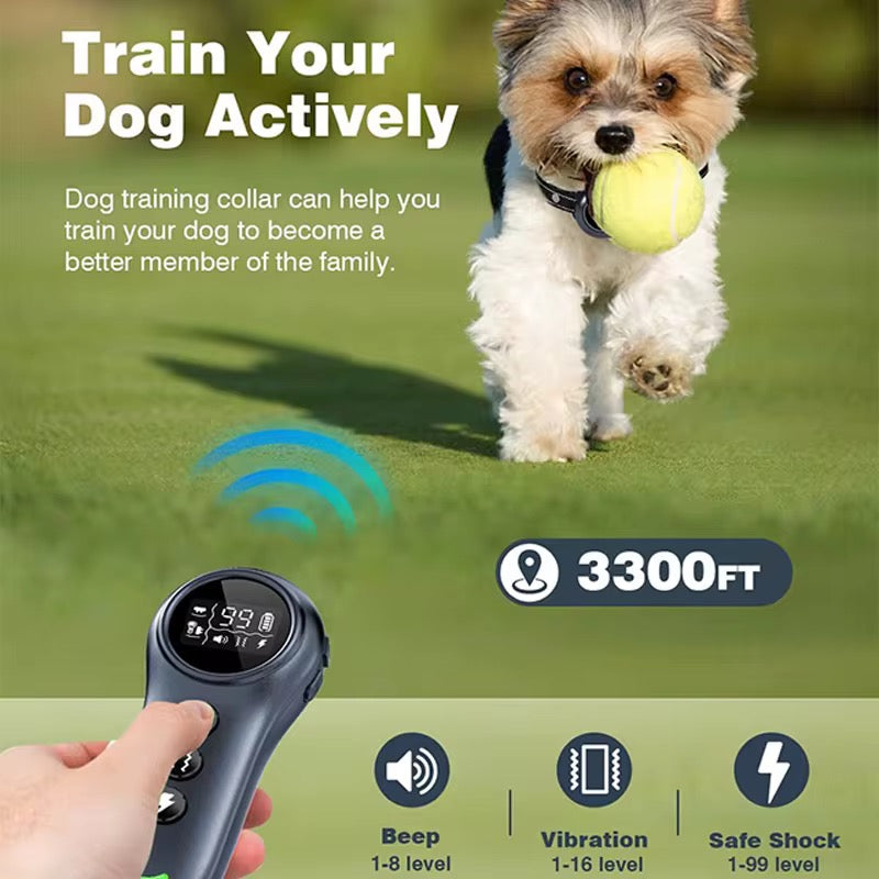 Training E-Collar for Dogs