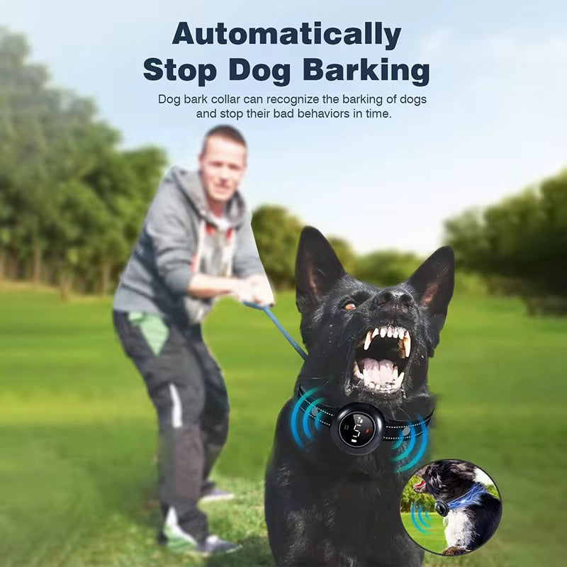 Training E-Collar for Dogs