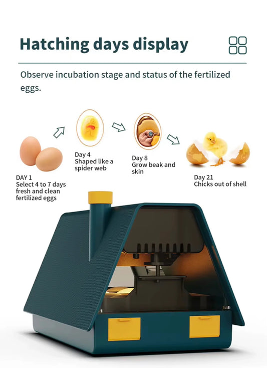 10 Egg Chicken Incubator