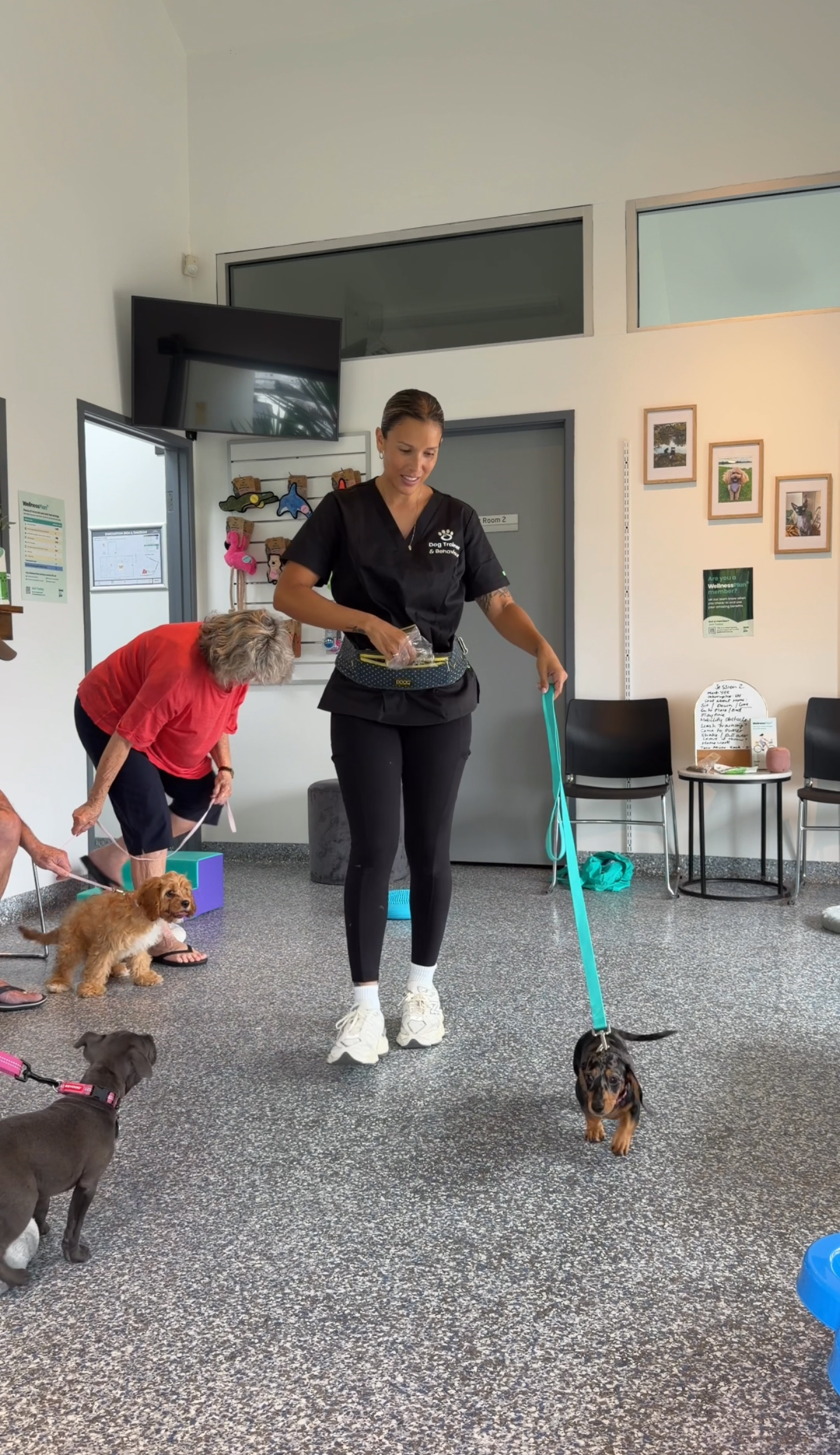 Raise The Perfect Puppy: Puppy School Online Course