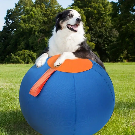 Herding Ball 55cm