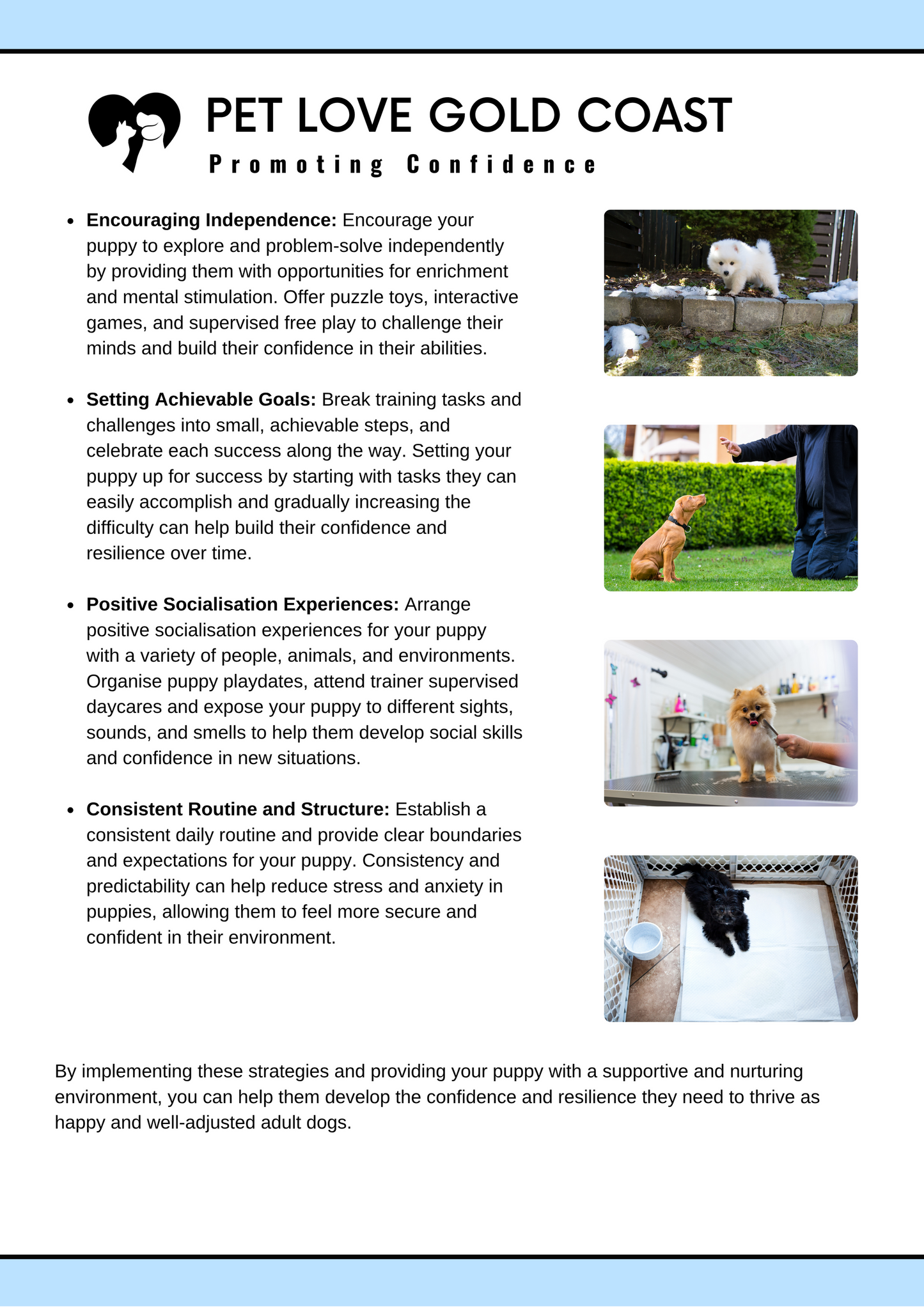 Puppy Training Guide