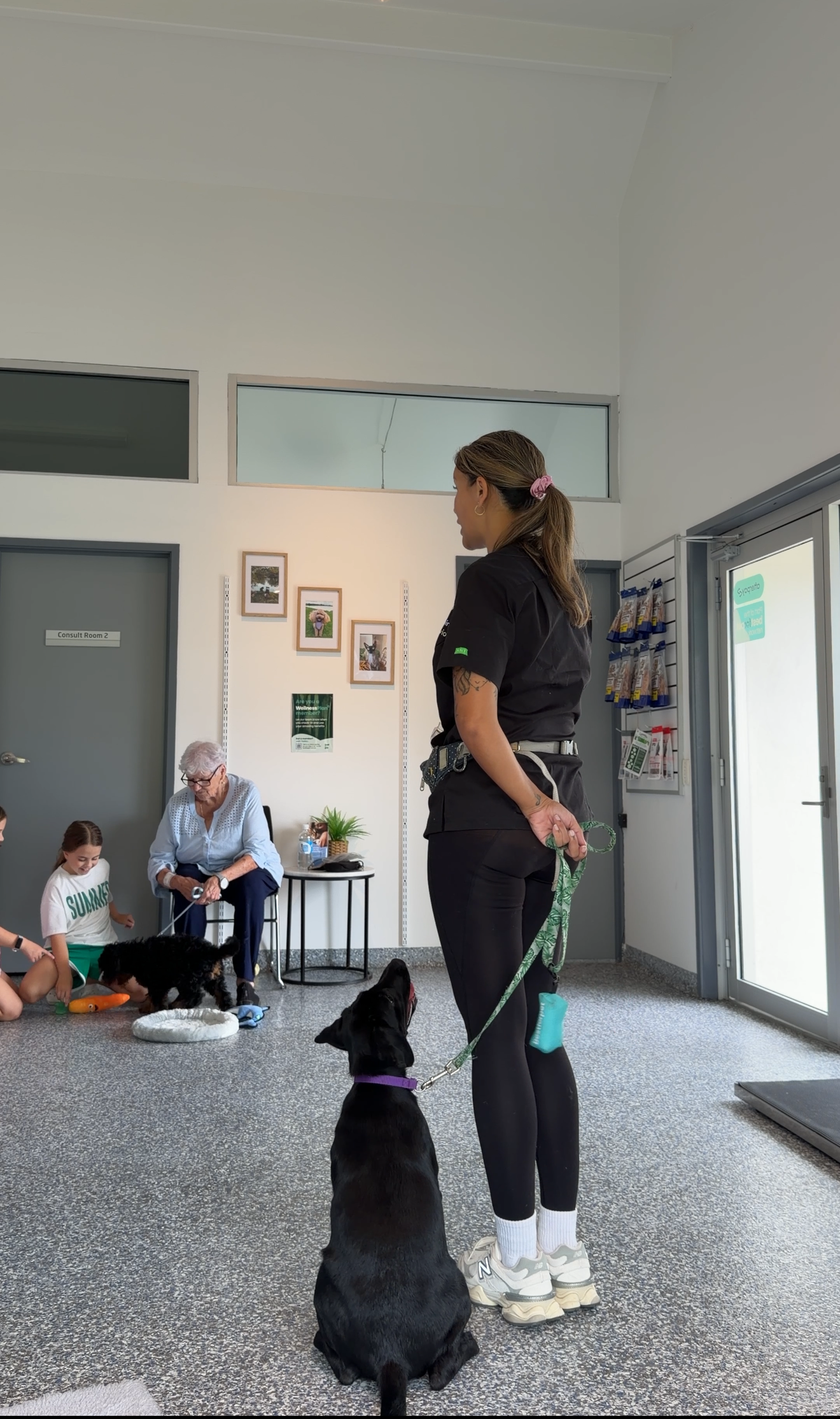Raise The Perfect Puppy: Puppy School Online Course