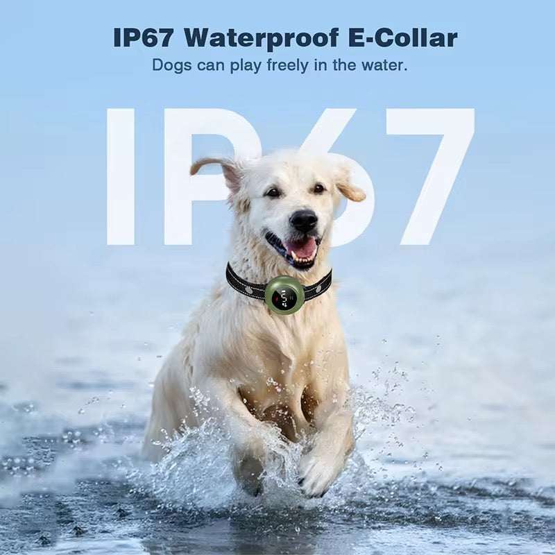 Training E-Collar for Dogs