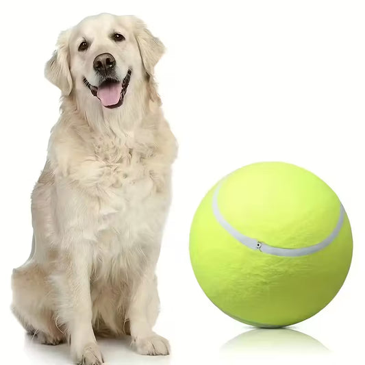 Extra Large Tennis Ball for Herding