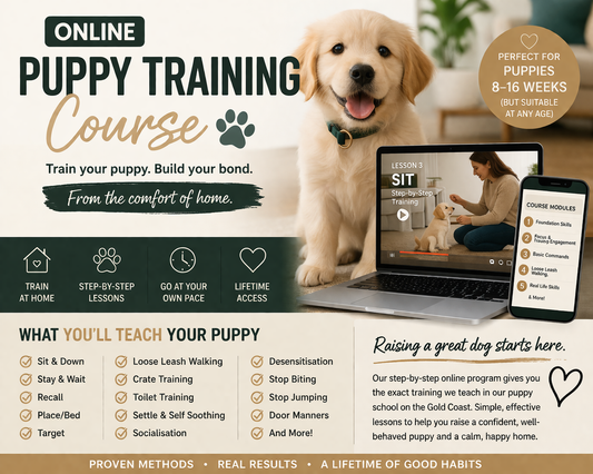 Puppy Program