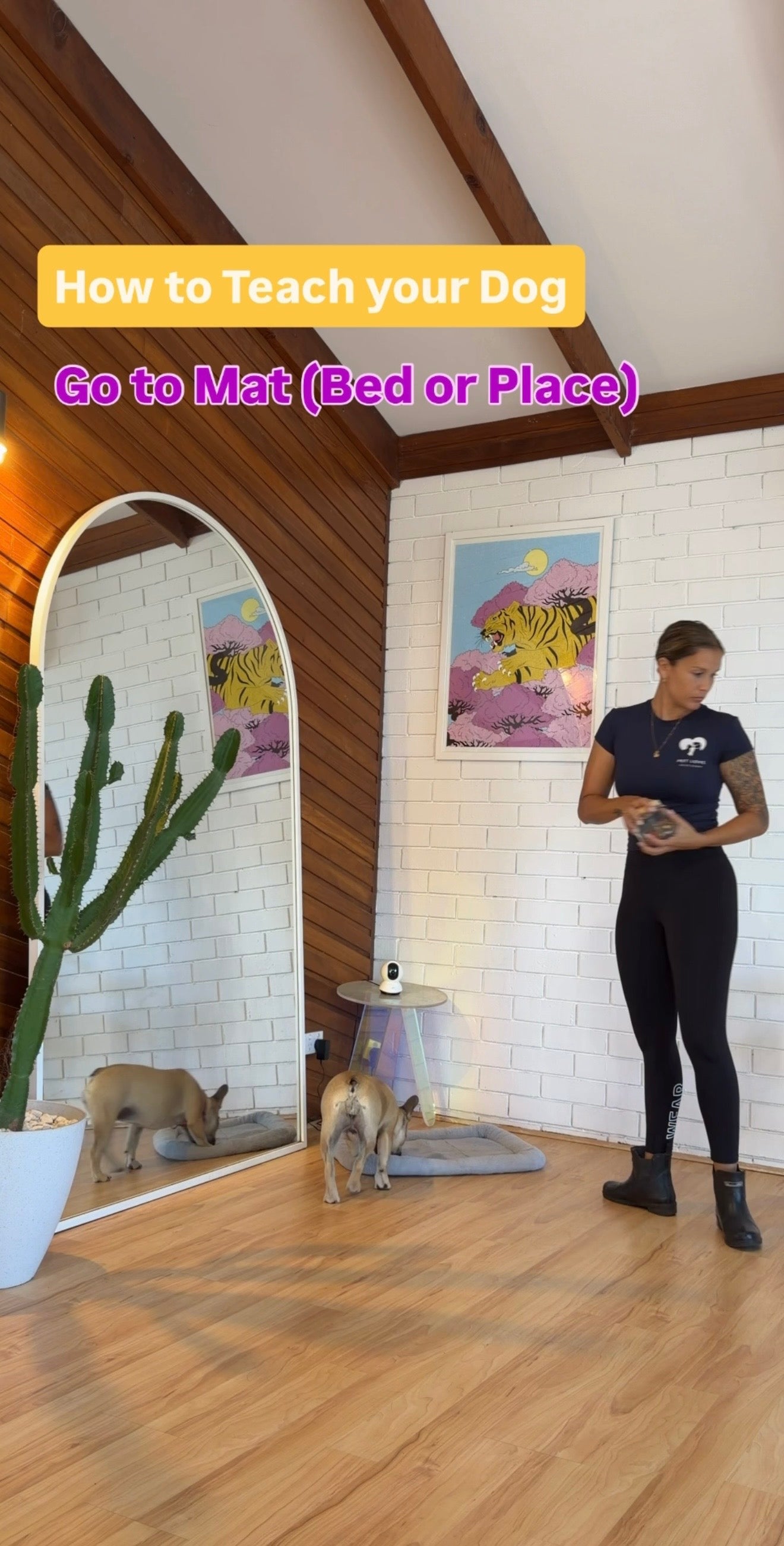 Puppy Program