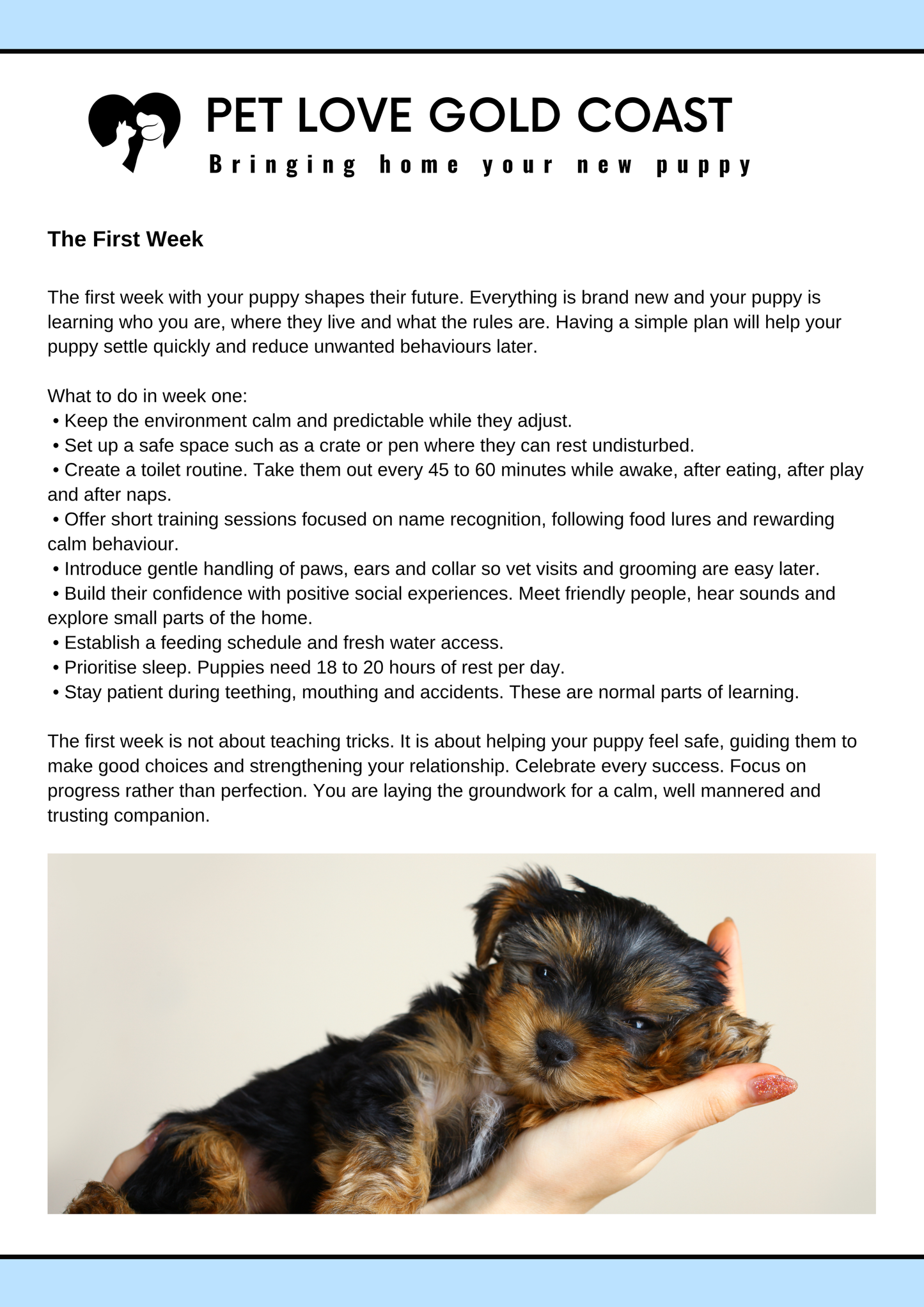 Puppy Training Guide