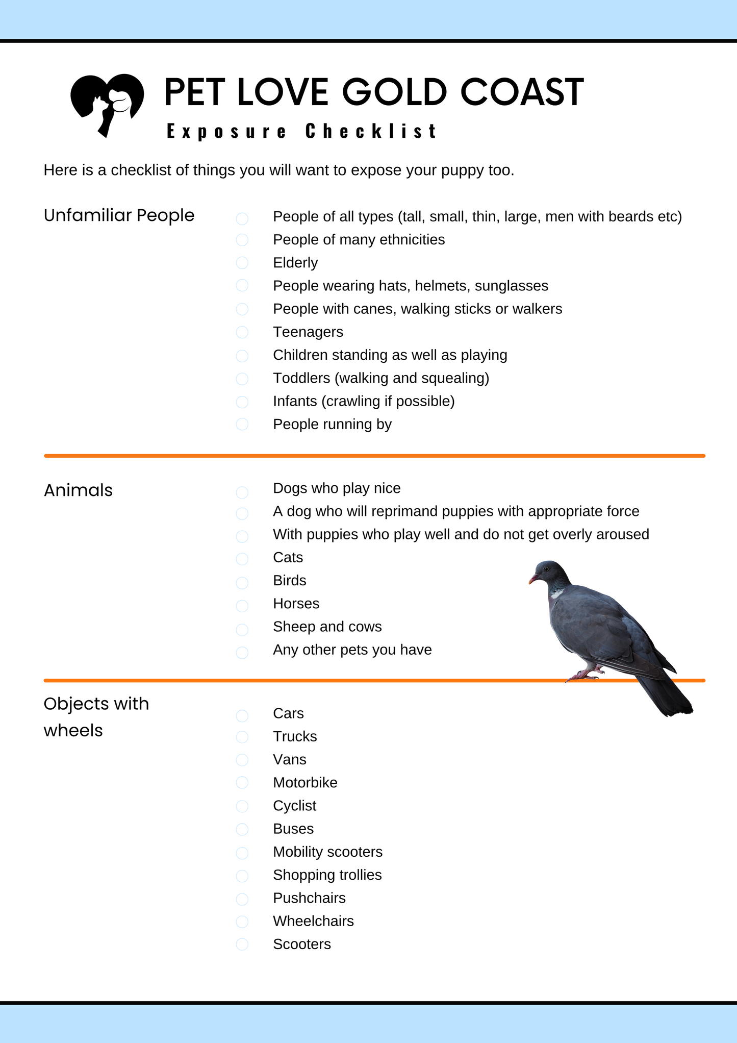 Puppy Training Guide