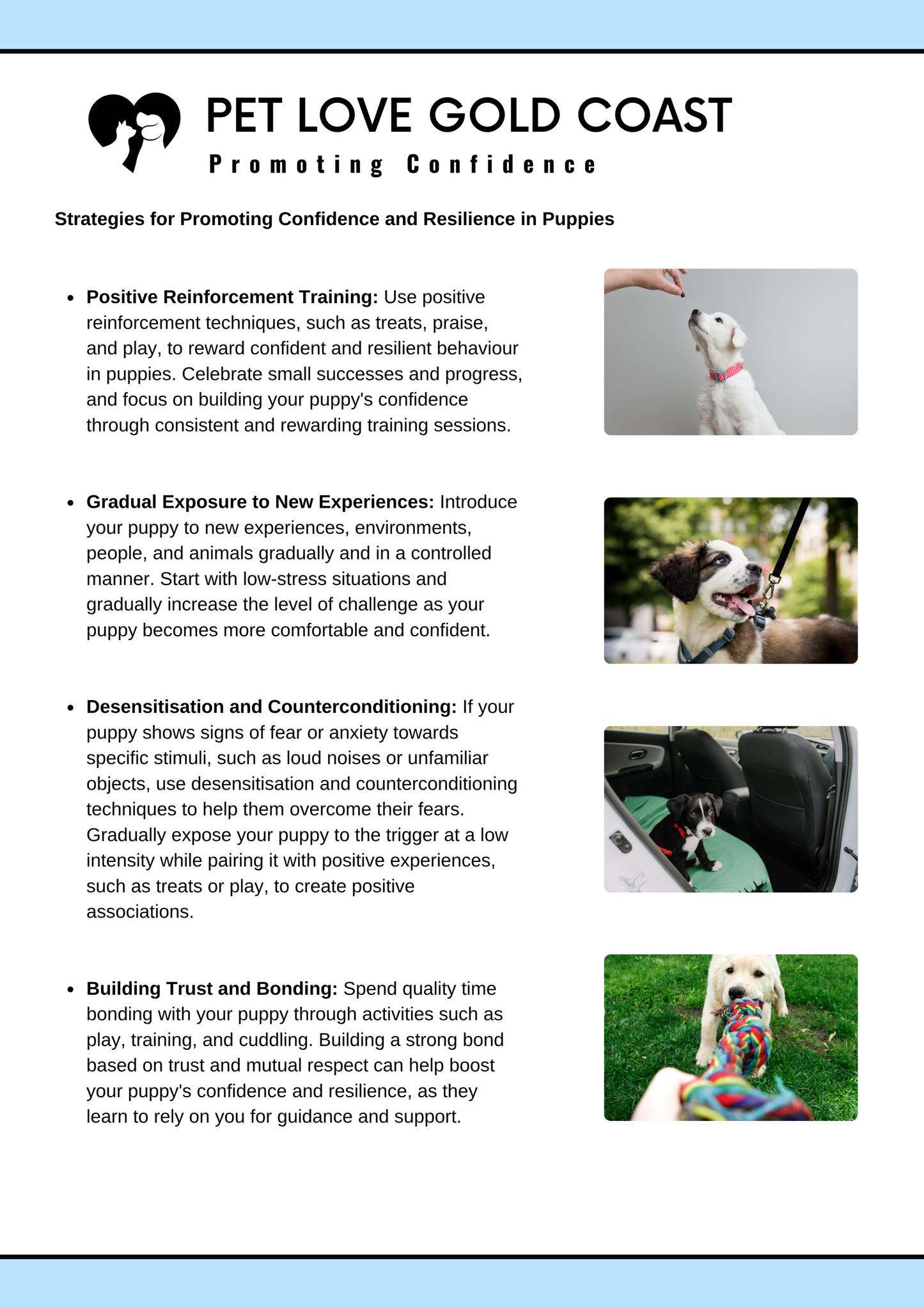 Puppy Training Guide