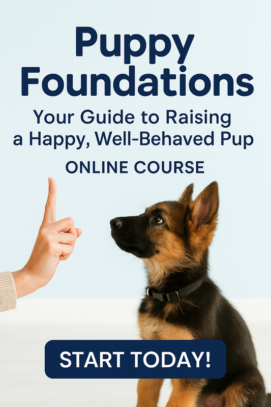 Online Puppy Course (up to 6months)
