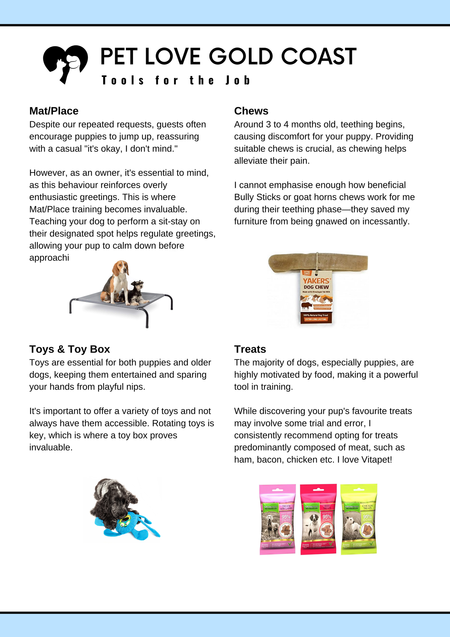 Puppy Training Guide