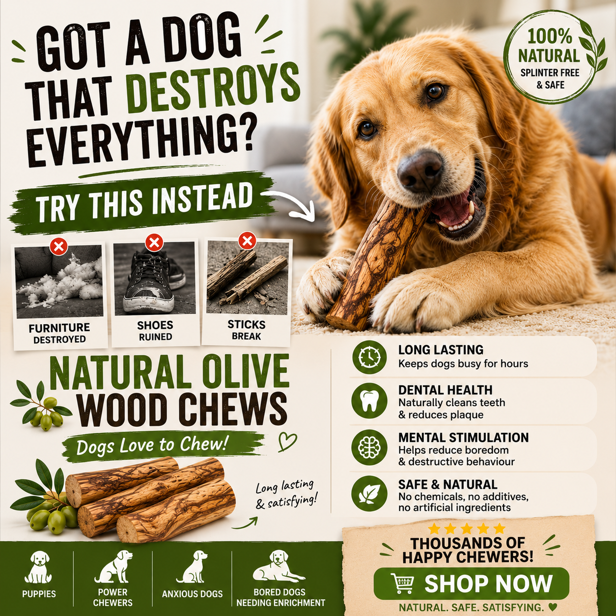 Olive Wood Dog Chew: Buy 2, Get Free Shipping
