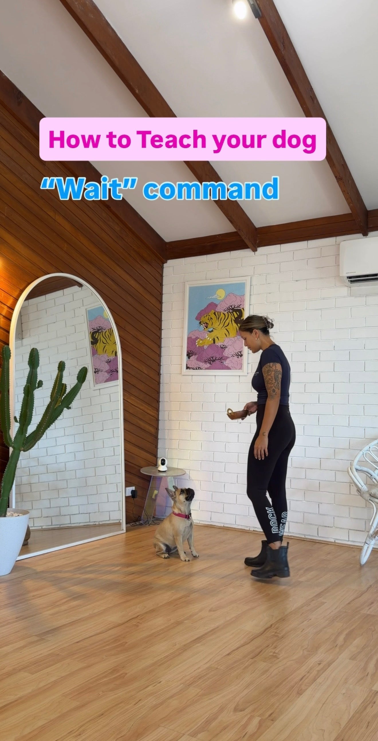 Puppy Program