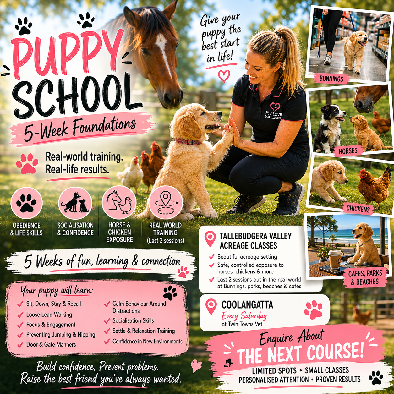 Puppy School Group: Coolangatta