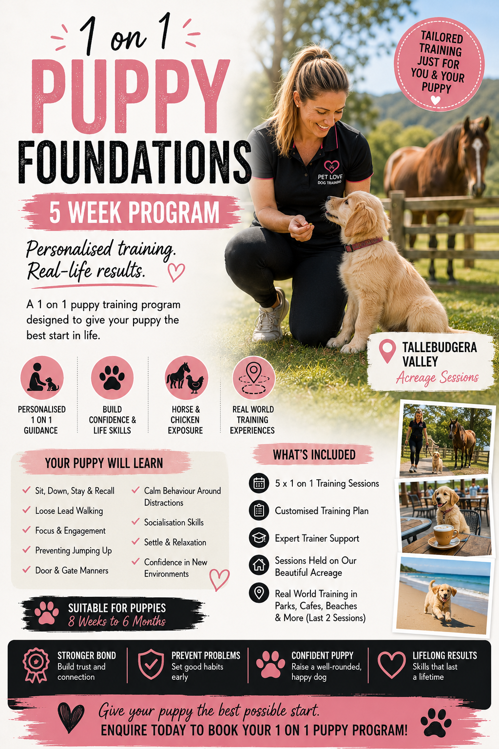 1 on 1 Puppy School Program: 5 Weeks Tallebudgera Valley (not Group)