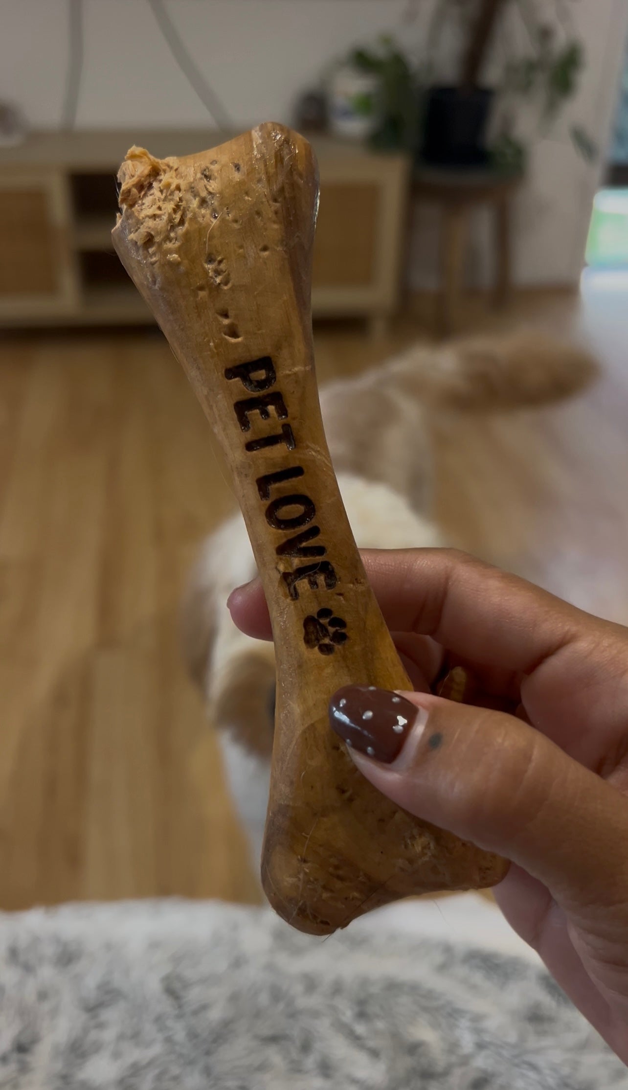 Olive Wood Dog Chew: Buy 2, Get Free Shipping