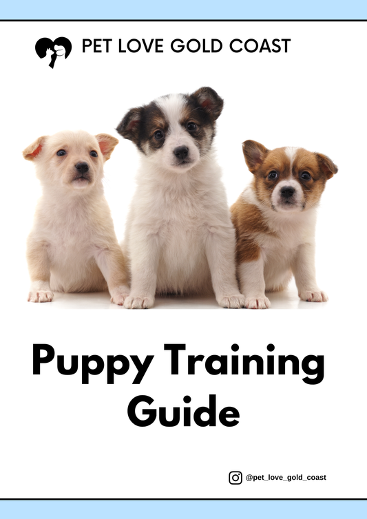 Puppy Training Guide