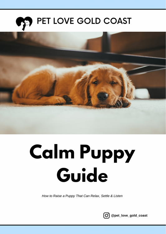 Calm Puppy Guide Ebook