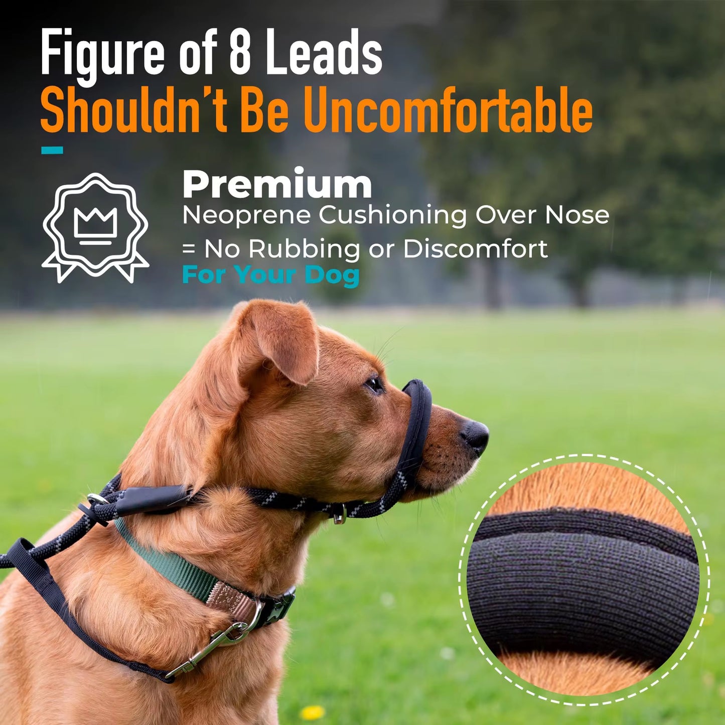 Figure 8 Padded Training Slip Leash