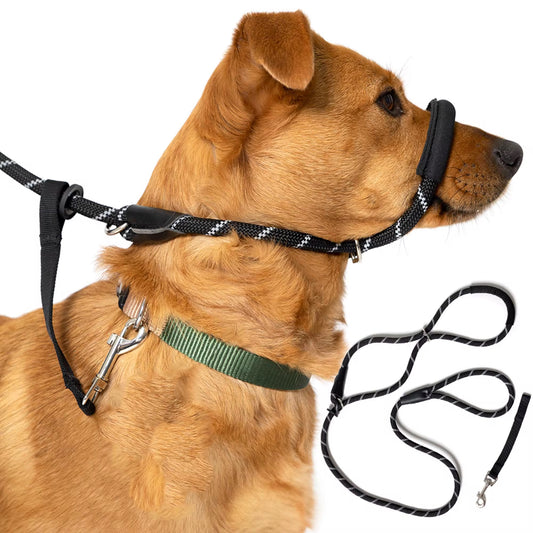 Figure 8 Padded Training Slip Leash