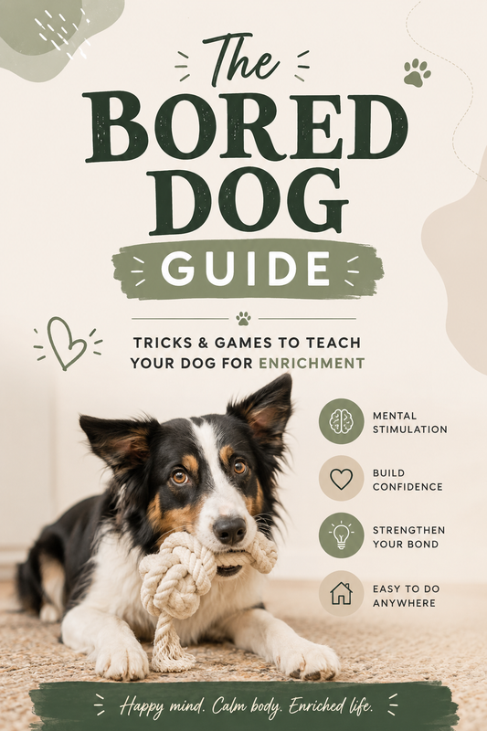 The Bored Dog Guide: Tricks & Games to Teach your Dog for Enrichment Ebook