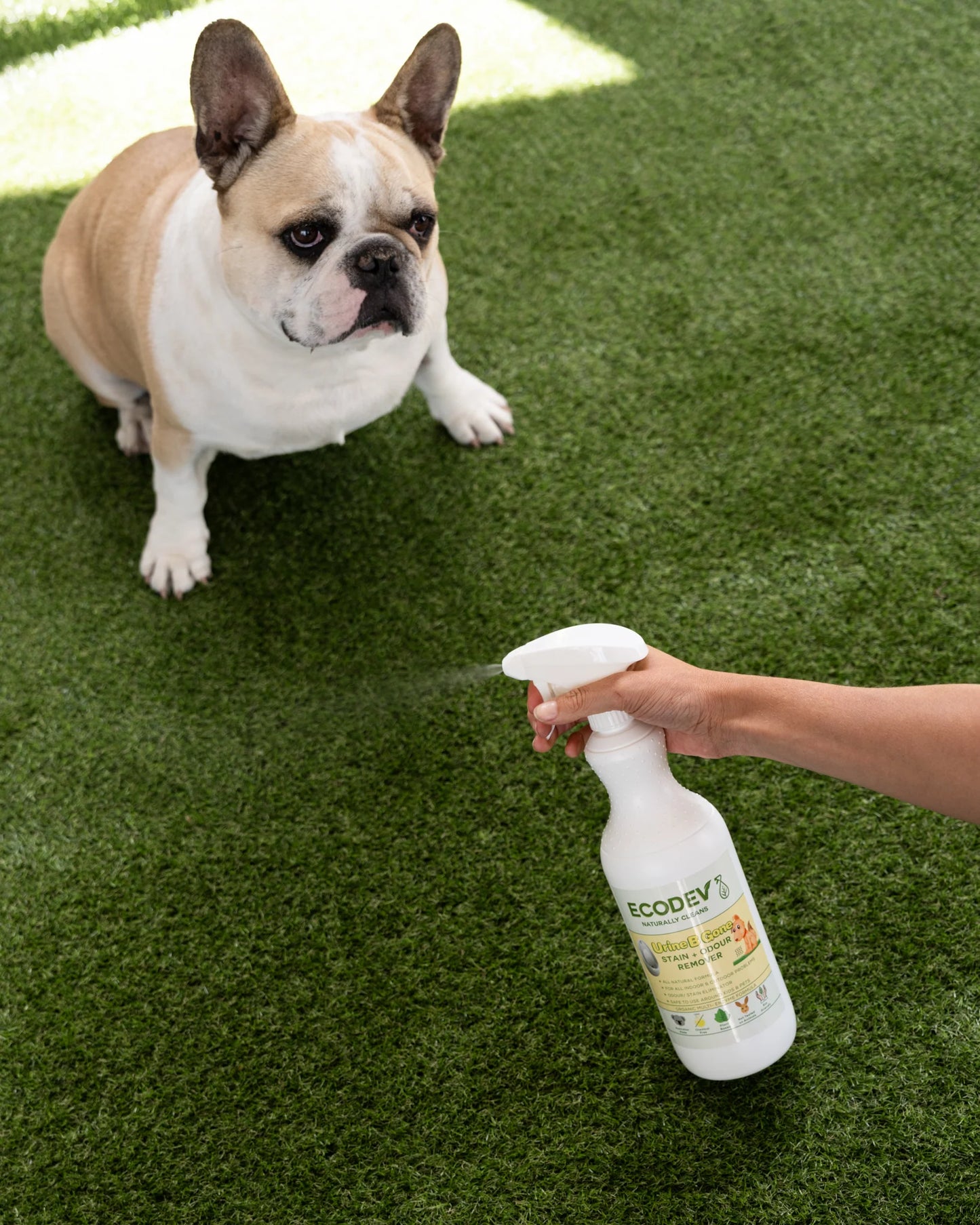 Ecodev urine spray 1L