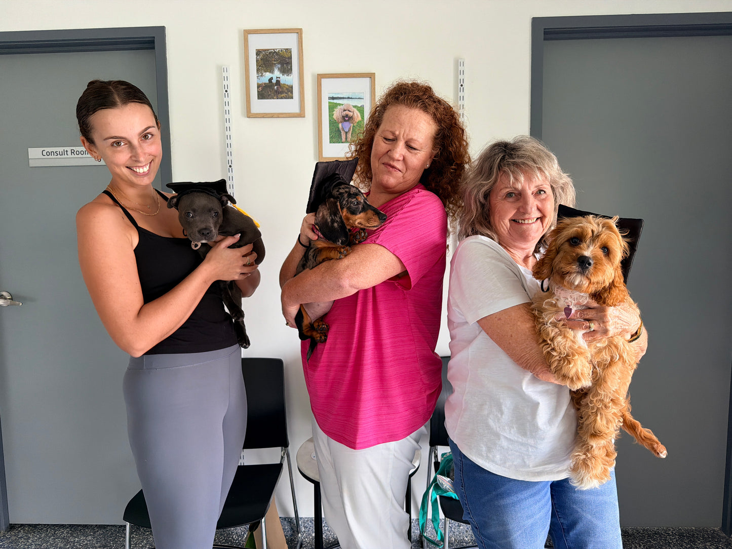 Raise The Perfect Puppy: Puppy School Online Course