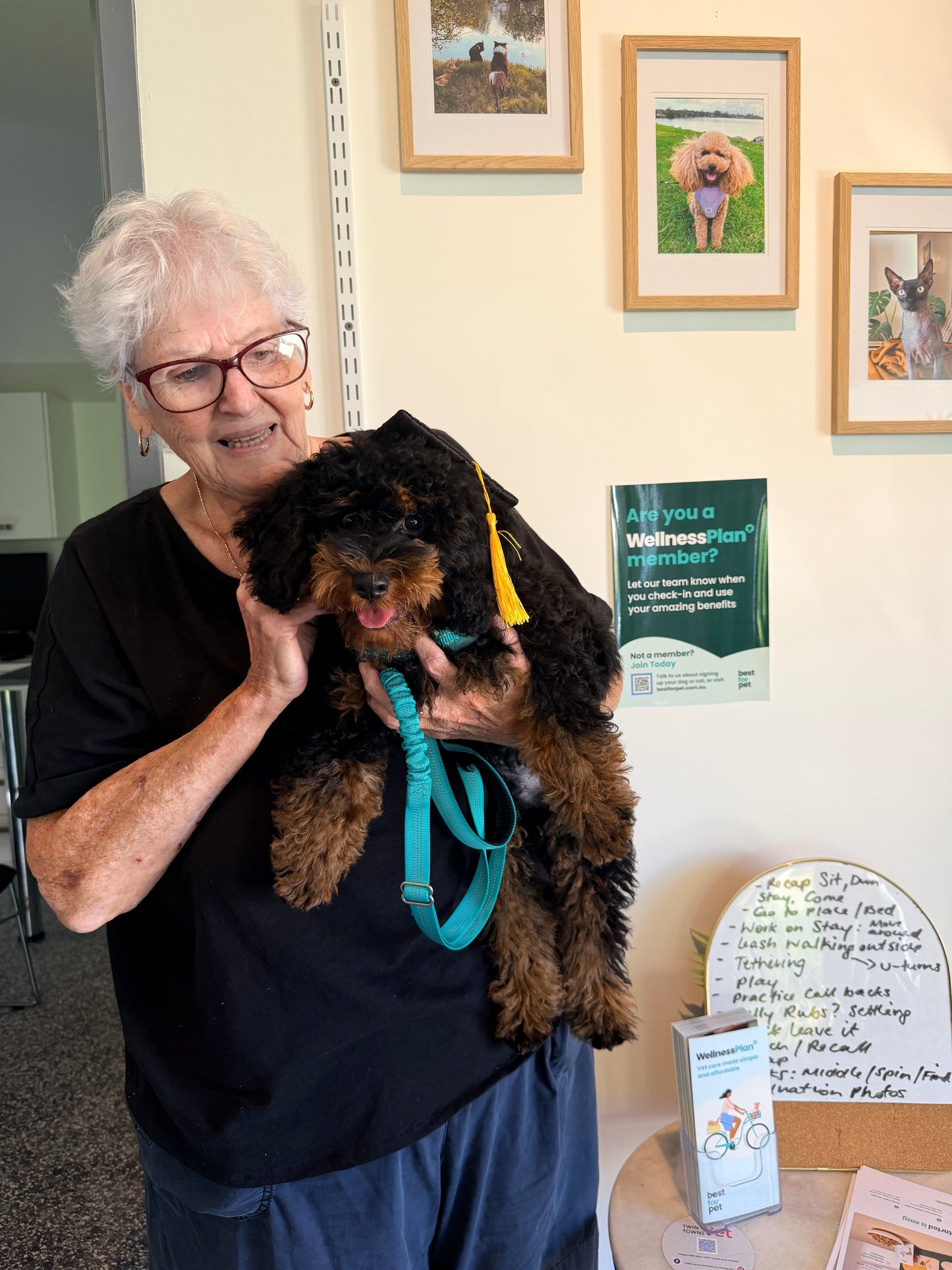 Raise The Perfect Puppy: Puppy School Online Course