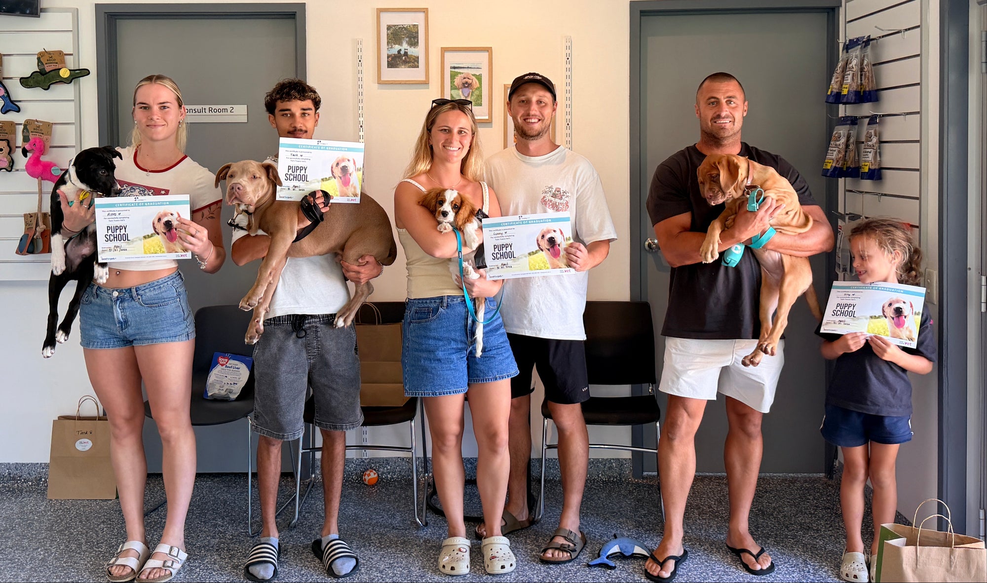 puppy school coolangatta gold coast